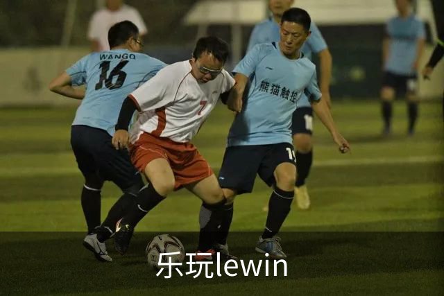 乐玩lewin公司介绍展示图